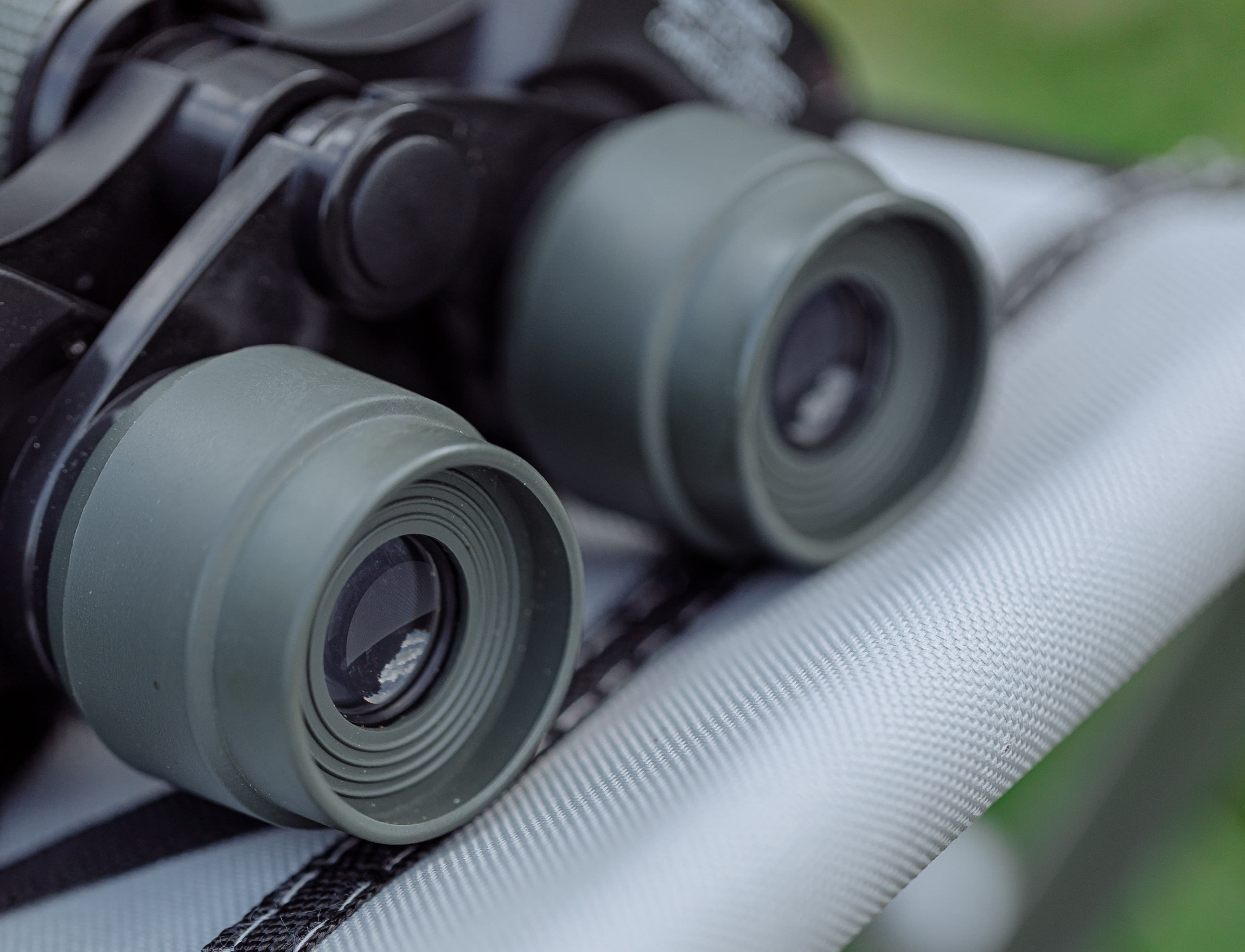 What can a 20-year-old binocular teach you about conservation?